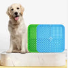 A light-colored dog is sitting next to a green and blue silicone lick mat for training.