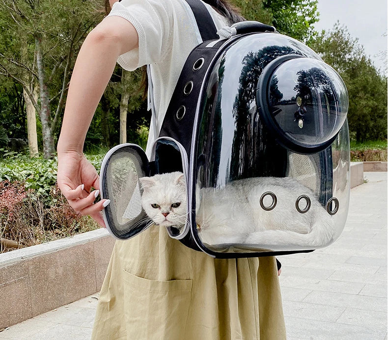 Eine Person trägt einen transparenten schwarzen Hundetransporter mit einer Katze darin.