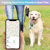 A person is using a smartphone app to track a dog wearing a silicone AirTag protective cover and keychain.