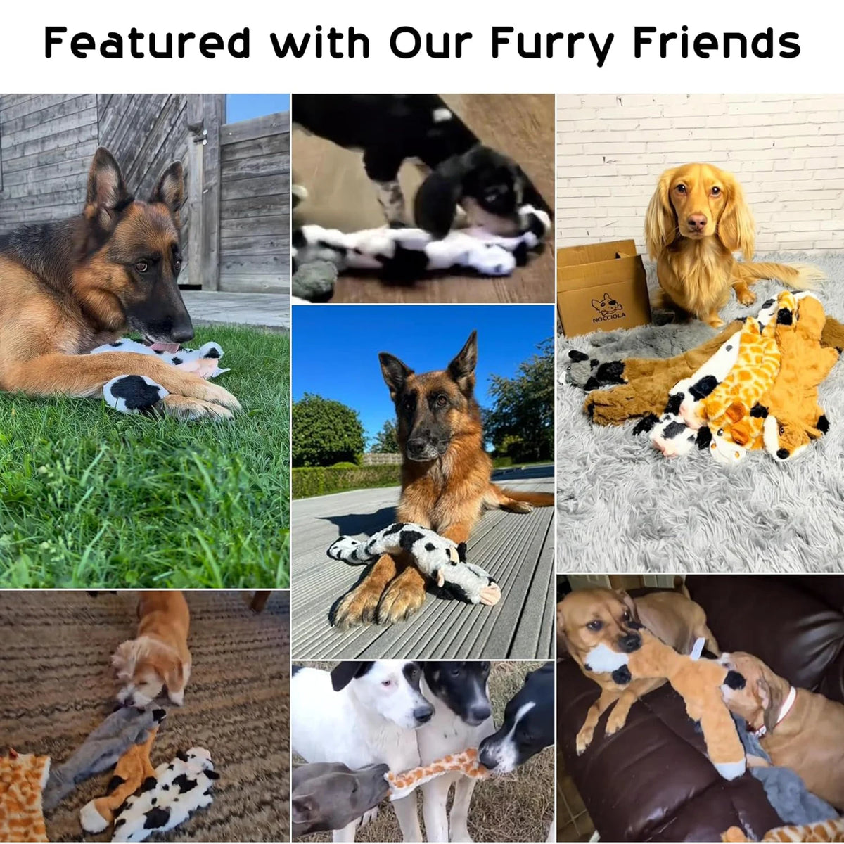 A collection of various dog toys, including plush toys and crinkle squeaky toys, featured with furry friends.