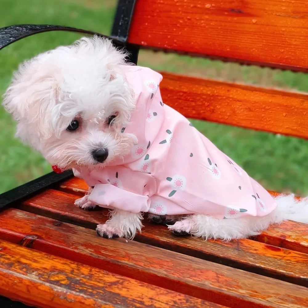 A small white dog wearing a pink cartoon printed raincoat sitting on an orange wooden bench.
