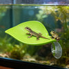 A small lizard is resting on a bright green plastic basking platform attached to a clear suction cup inside an aquarium.