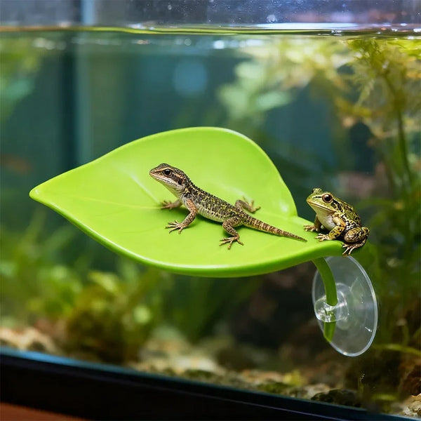 A small lizard is resting on a bright green plastic basking platform attached to a clear suction cup inside an aquarium.