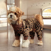 A small dog wearing leopard print pajamas standing indoors.