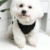 A fluffy white dog wearing a black vest sitting on a white surface.