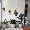 A collection of macrame plant hangers featuring various greenery hanging against a white wall.