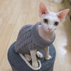 Weiße Sphynx-Katze mit grauem Strickpullover sitzt auf dunkler Oberfläche.
