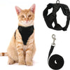 Oranger Tabby-Katze mit schwarzem, verstellbarem, spannungsfreiem Geschirr und Leine.