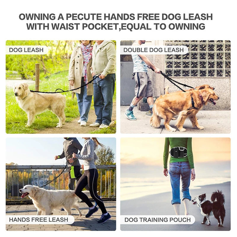 A dog is walking on a leash, demonstrating the hands-free feature of a dog training pouch and leash system.