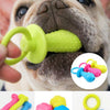 A small dog holds a bright green squeaky chew toy, surrounded by various colorful rubber toys.