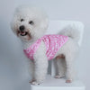 A fluffy white dog wearing a pink heart vest standing on a white surface.