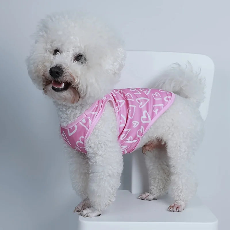A fluffy white dog wearing a pink heart vest standing on a white surface.