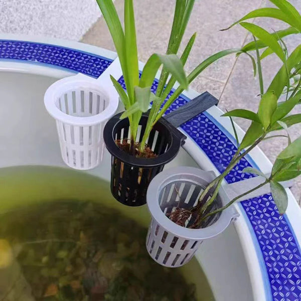 A wall-mounted hydroponic plant basket with green plants is placed in a large aquarium or water container.