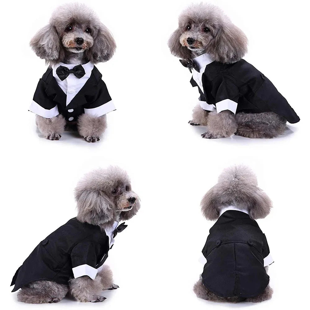 A set of pet tuxedo bow tie outfits featuring fluffy grey dogs in black and white formal attire.