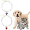 Un collier en or avec un pendentif de perle, exposé à côté d'un golden retriever et d'un chaton gris.