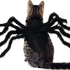 A brown tabby cat wearing a black Halloween spider costume with long, dark legs.