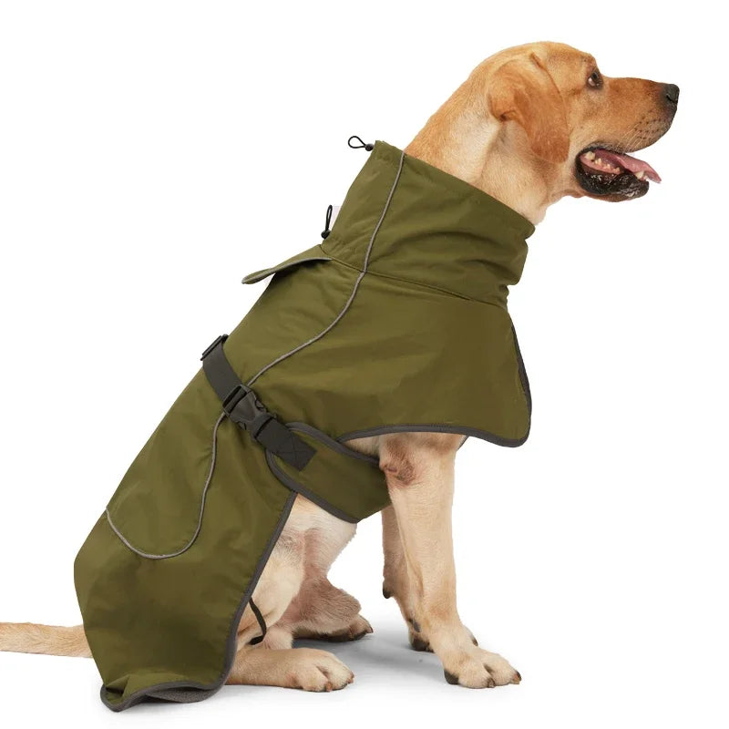 Un golden retriever portant une veste coupe-vent olive avec harnais réglable.