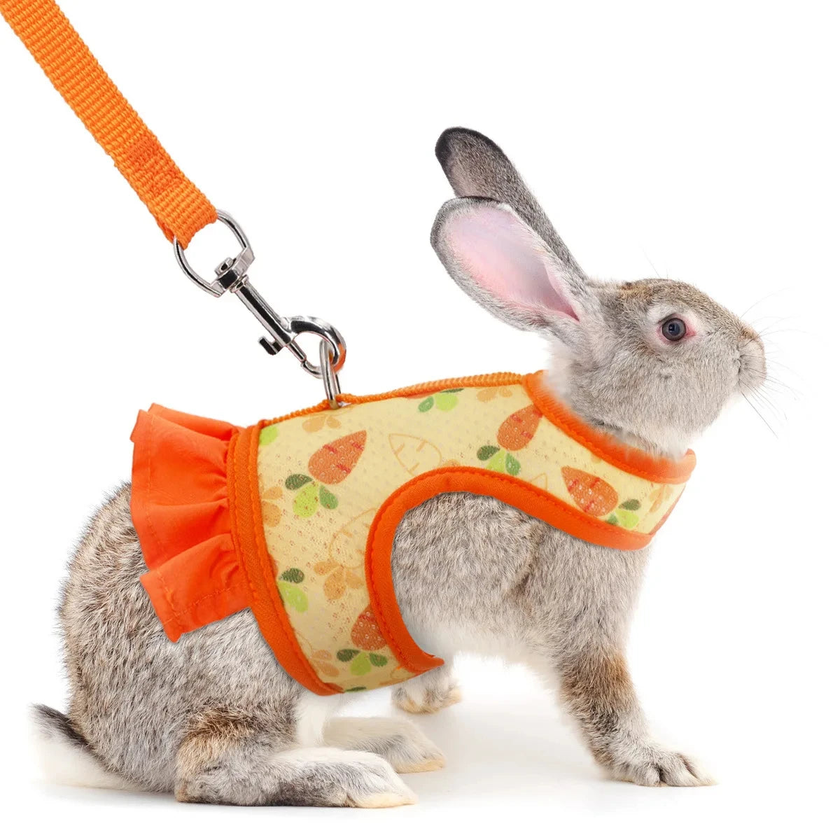 A gray rabbit wearing an orange mesh harness attached to a leash.