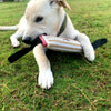 A light-colored dog is playing with a beige and white jute tug toy on green grass.