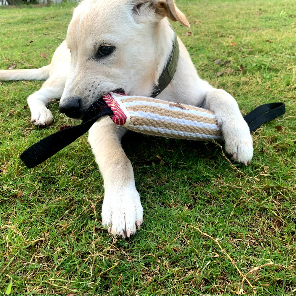 A light-colored dog is playing with a beige and white jute tug toy on green grass.
