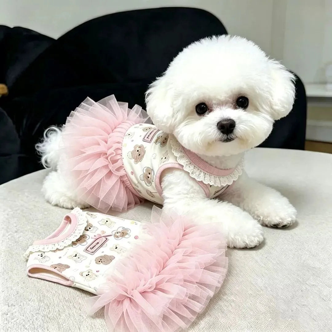 Ein weißer Pudel trägt ein pinkes Rüschen-Sommerkleid für Hunde und sitzt auf einer hellen Oberfläche.