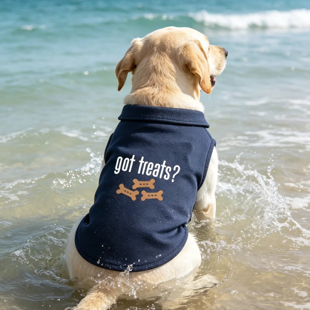A golden retriever wearing a navy blue polo vest is standing in shallow water near the shore.