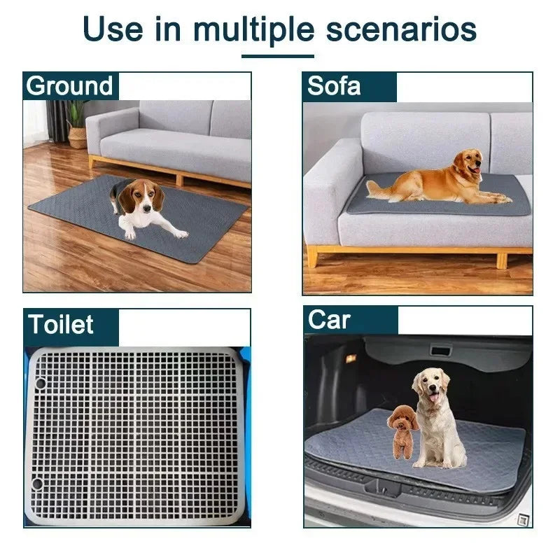 Washable and reusable pet pee pads shown in use on the ground, sofa, toilet, and car.
