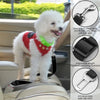 A white poodle is shown in a red harness being secured by a black retractable dog car seatbelt tether.
