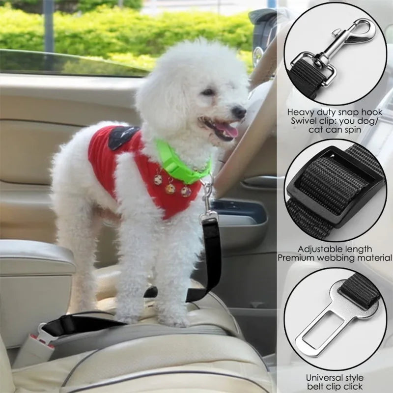 A white poodle is shown in a red harness being secured by a black retractable dog car seatbelt tether.