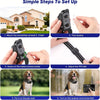 A six-step guide showing how to set up a portable pet training collar for use with a dog.