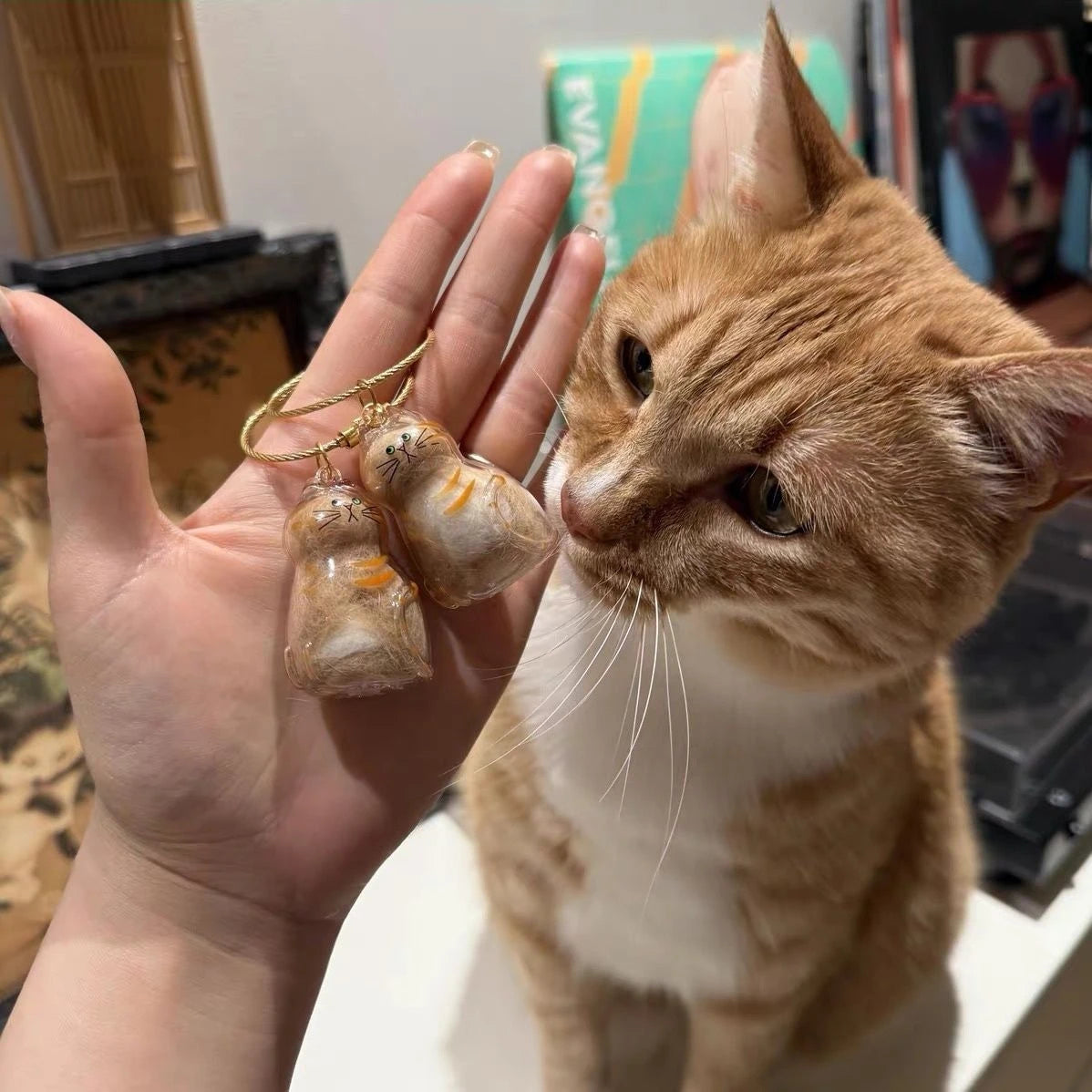 Eine orangefarbene Katze schaut auf eine Hand, die zwei bernsteinfarbene Haar-Anhänger hält.