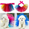 Two fluffy white dogs wearing colorful tulle tutus or dresses.
