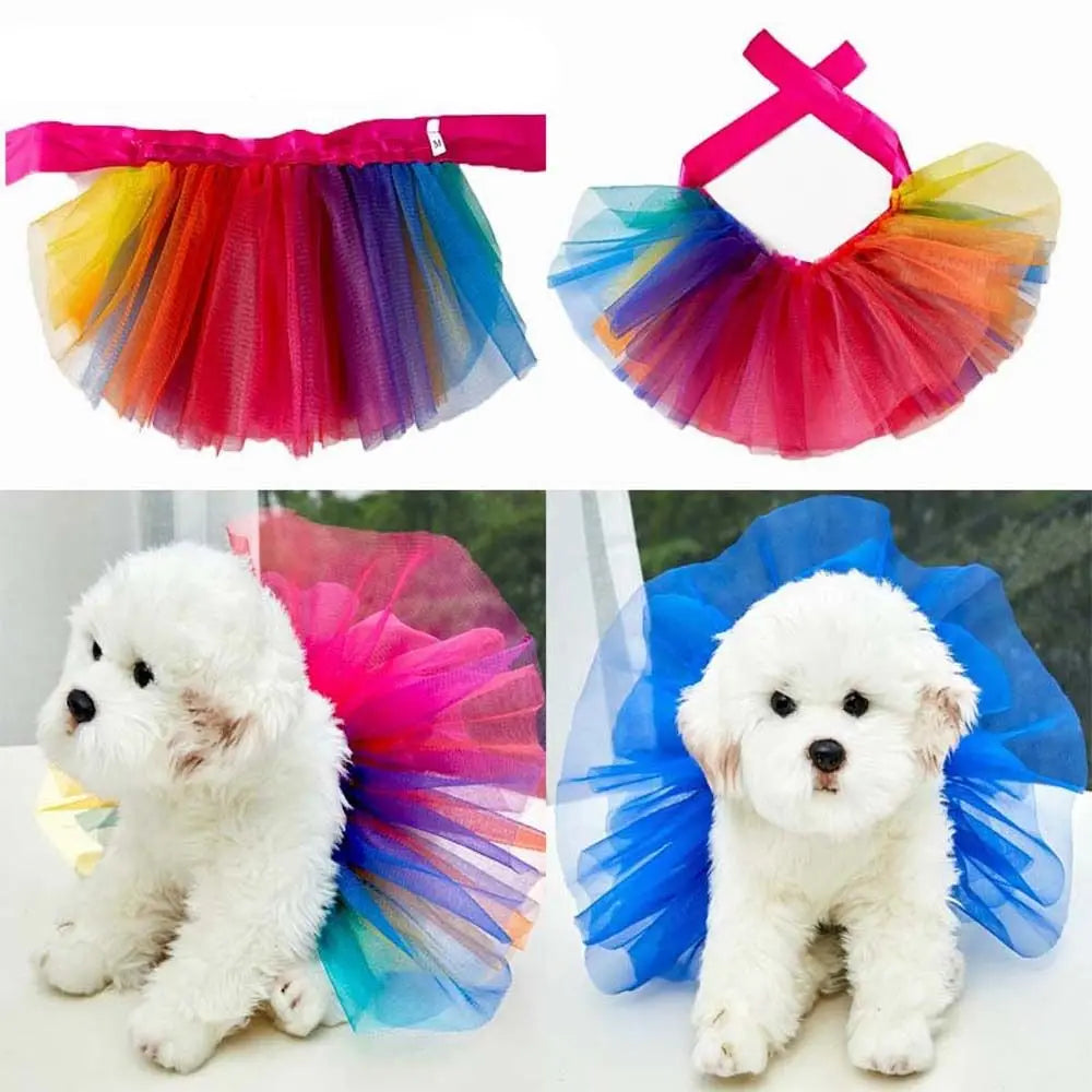 Two fluffy white dogs wearing colorful tulle tutus or dresses.