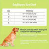 A size chart for dog diapers showing waist sizes for small to extra-large dogs.