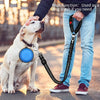A person is using an adjustable dog leash, which functions as a multifunction tool, with a dog sitting beside them.