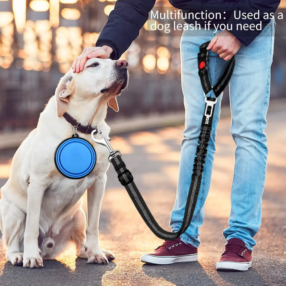A person is using an adjustable dog leash, which functions as a multifunction tool, with a dog sitting beside them.