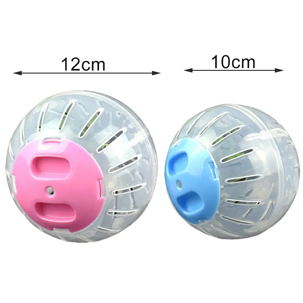 Two transparent pet exercise balls, one pink and one blue, used for small rodent exercise.
