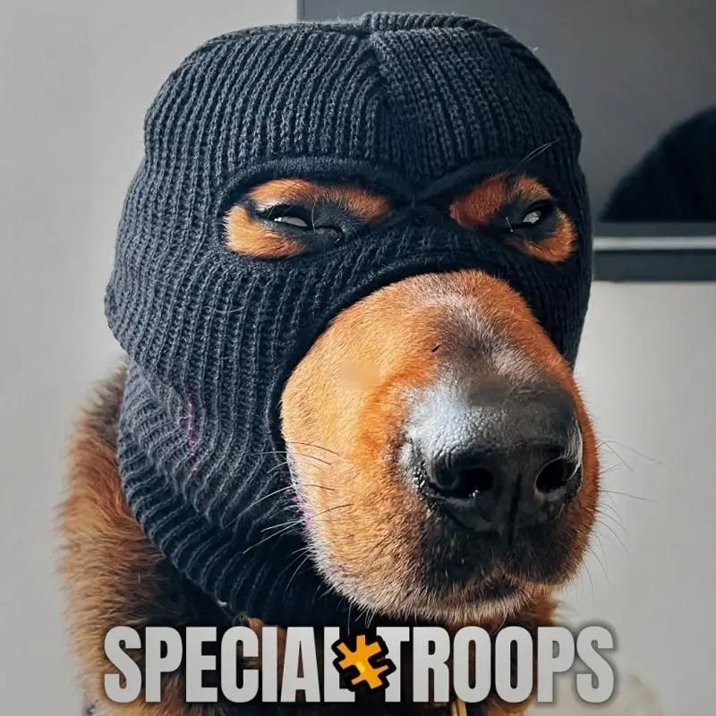 A close-up photo of a dog wearing a black knitted mask accessory.
