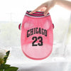 Pink dog sports jersey with Chicago 23 text being held by a hand
