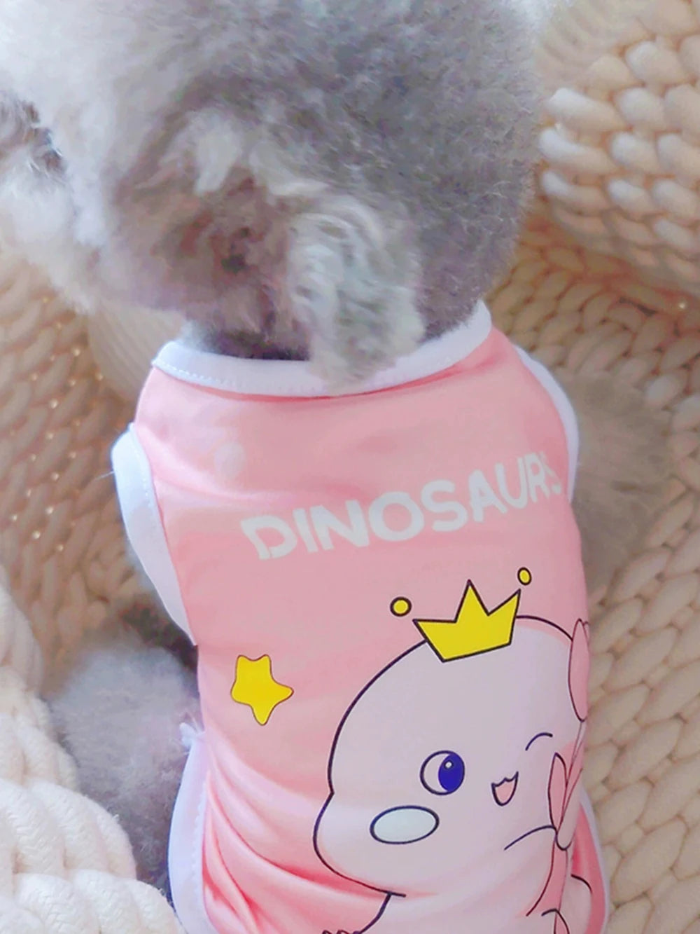A pink sleeveless vest featuring a dinosaur design worn by a small pet.