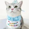 Un chat gris portant un bibi d'anniversaire bleu clair et une casquette de fête assortie.