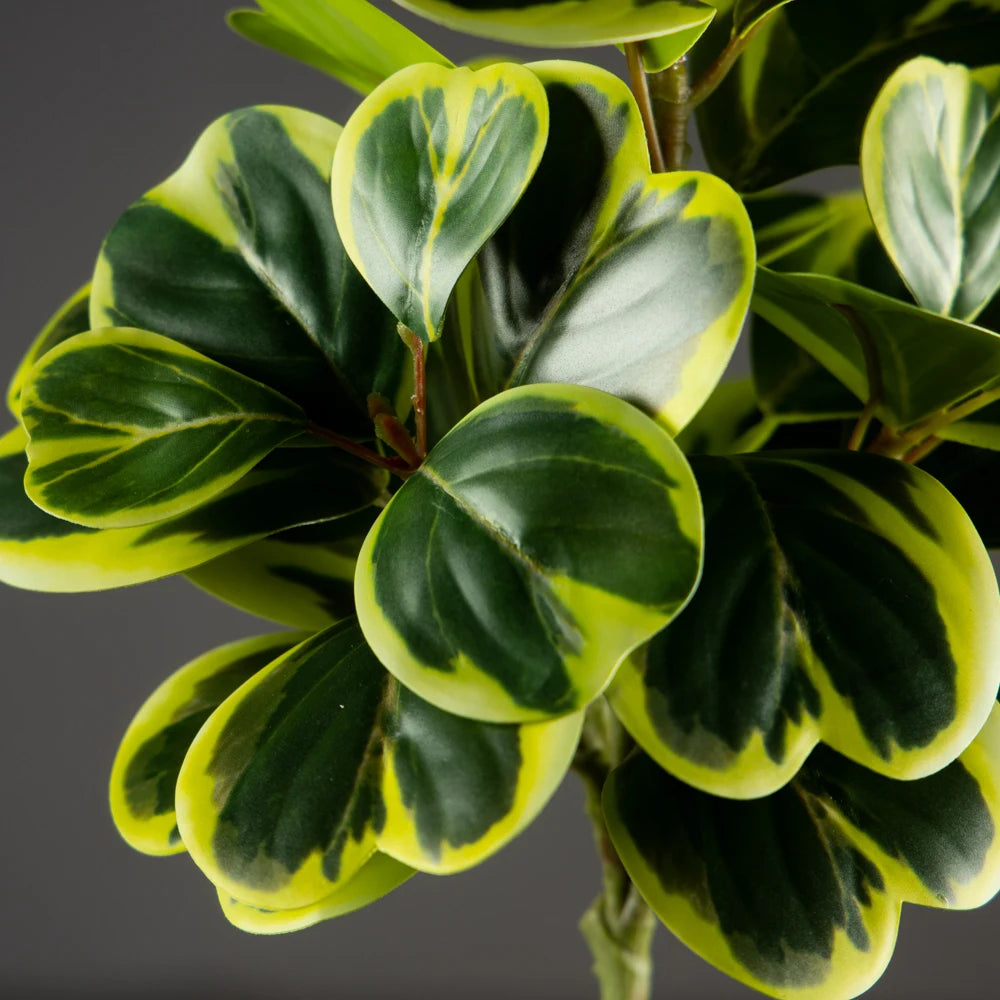 Künstliches Herzblatt-Ficus-Baum mit glänzenden grünen Blättern und gelber Verzierung