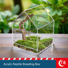 Caja de cría de reptiles de acrílico transparente con paisaje naturalista y plantas pequeñas.