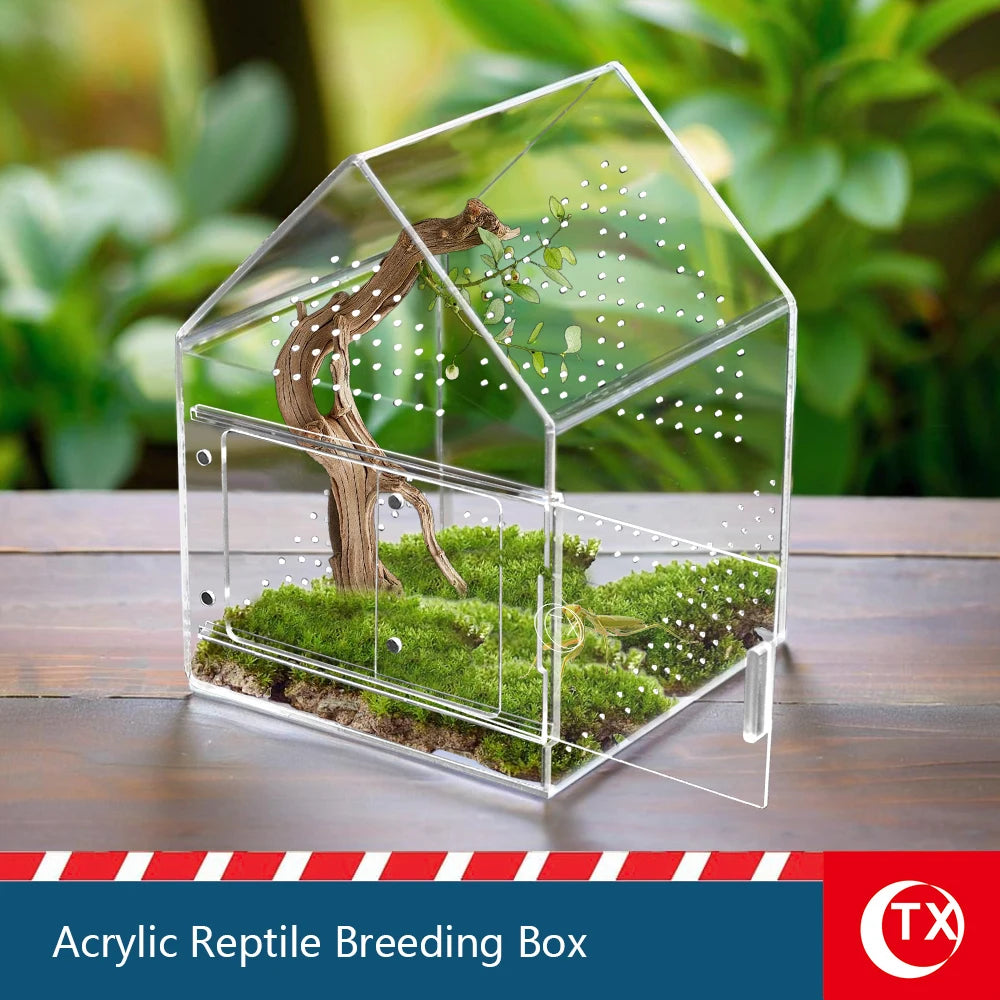 Caja de cría de reptiles de acrílico transparente con paisaje naturalista y plantas pequeñas.