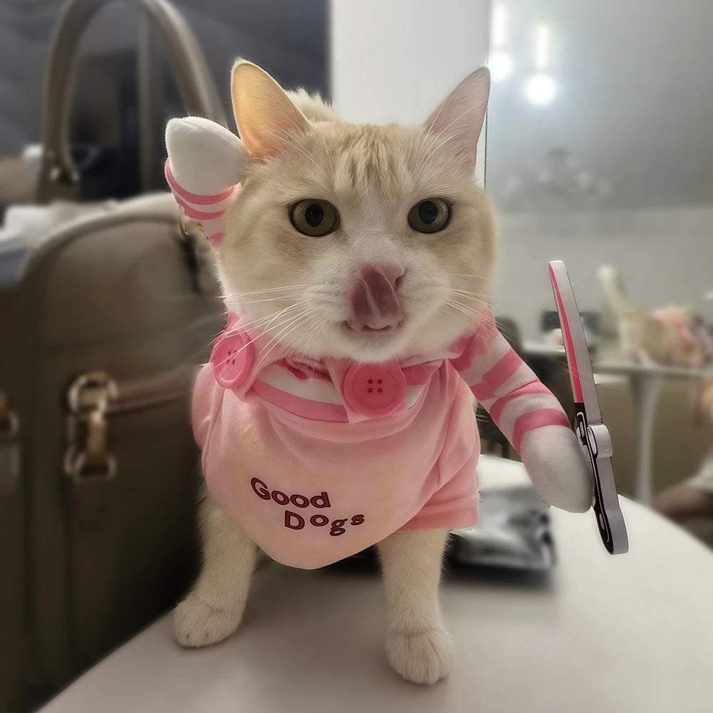 Un chat orange et duveteux portant une combinaison rose avec des oreilles et un nez, posant sur une surface blanche.