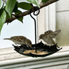 A black umbrella-shaped hanging bird feeder with seed visible, suspended from a tree branch.