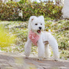 A white dog wearing a pink bowknot harness and leash walking on a paved path.