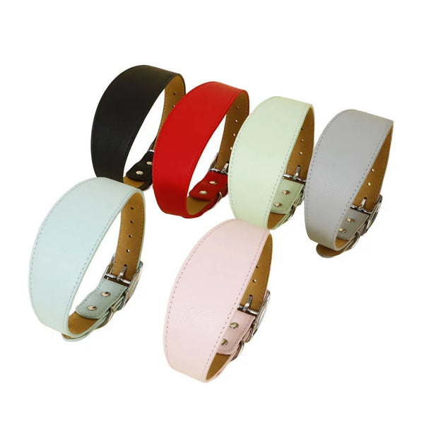 A collection of wide leather dog collars in various colors including black, red, light green, and beige.