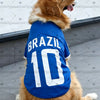 A golden retriever wearing a blue football jersey vest with the word BRAZIL and the number 10.