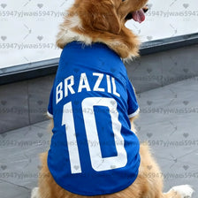 A golden retriever wearing a blue football jersey vest with the word BRAZIL and the number 10.